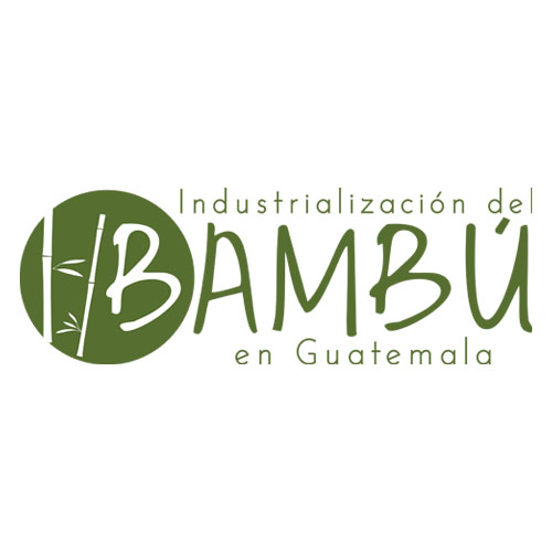 Construcción con Bambú